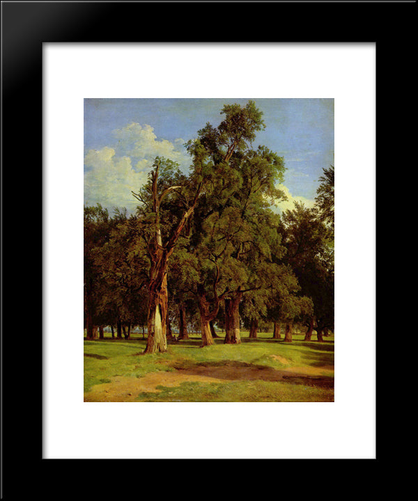 Old Elms In Prater 20x24 Black Modern Wood Framed Art Print Poster by Waldmuller, Ferdinand Georg