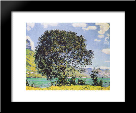 A View Of Lake Brienz From Bodeli 20x24 Black Modern Wood Framed Art Print Poster by Hodler, Ferdinand