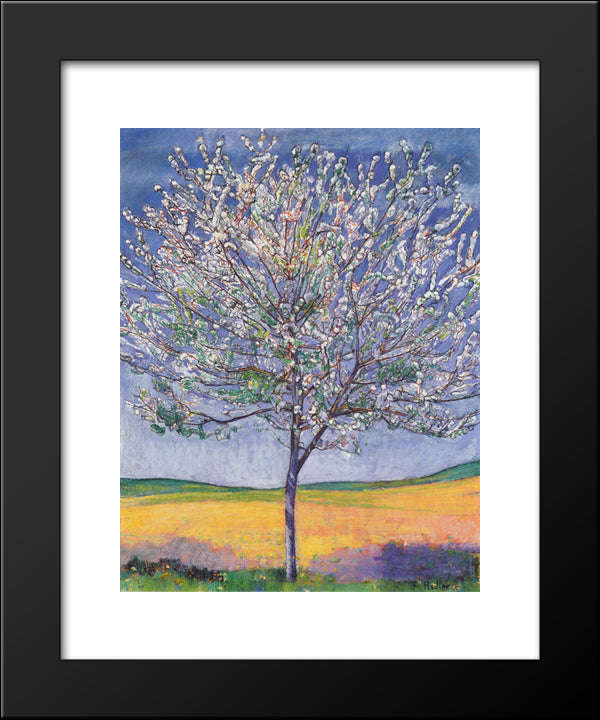 Cherry Tree In Bloom 20x24 Black Modern Wood Framed Art Print Poster by Hodler, Ferdinand