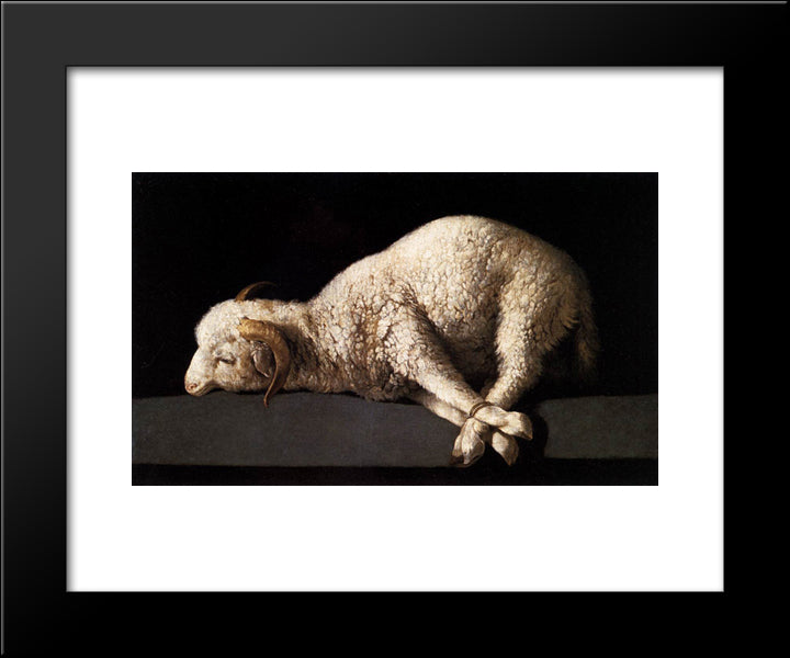 Agnus Dei 20x24 Black Modern Wood Framed Art Print Poster by Zurbaran, Francisco de