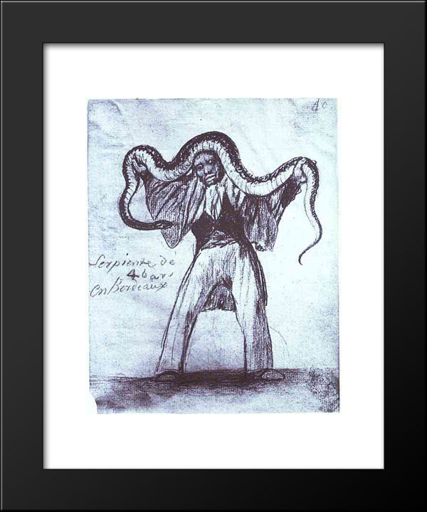 Four Yard Long Snake In Bordeaux 20x24 Black Modern Wood Framed Art Print Poster by Goya, Francisco