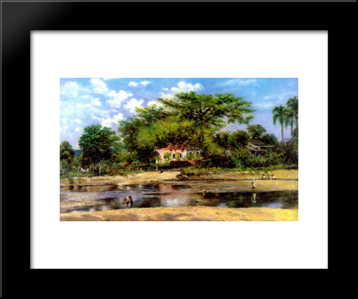 A Paineira De Ponce - La Ceiba De Ponce 20x24 Black Modern Wood Framed Art Print Poster by Oller, Francisco