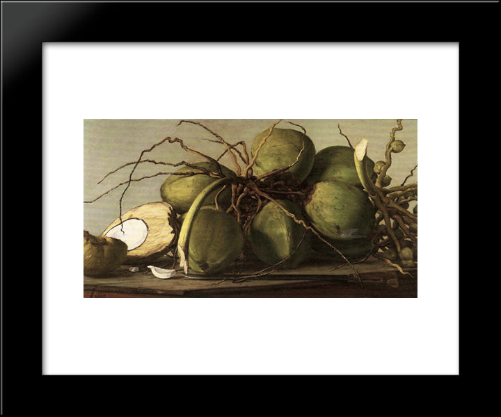 Cocos 20x24 Black Modern Wood Framed Art Print Poster by Oller, Francisco