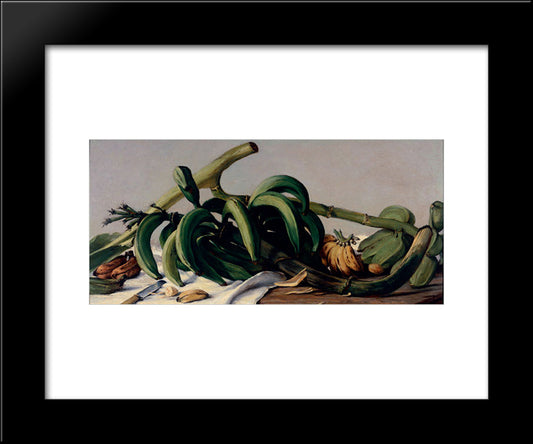 Still Life With Plantains And Bananas 1893 20x24 Black Modern Wood Framed Art Print Poster by Oller, Francisco