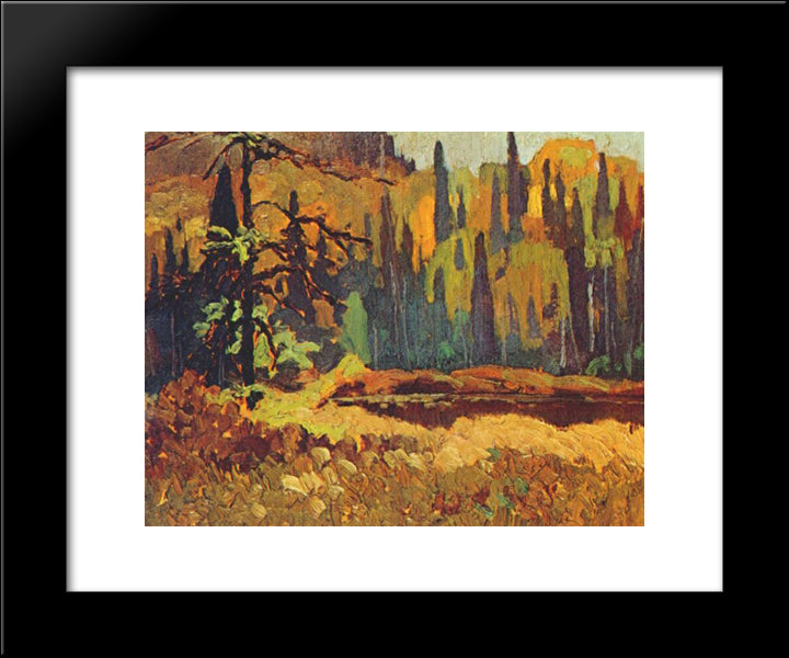 Moose Pond 20x24 Black Modern Wood Framed Art Print Poster by Johnston, Frank