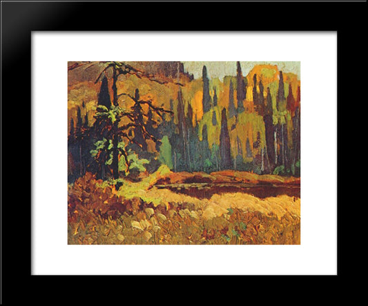 Moose Pond 20x24 Black Modern Wood Framed Art Print Poster by Johnston, Frank