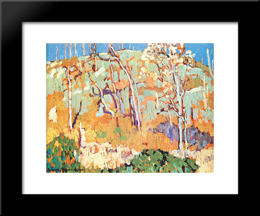 Patterned Hillside 20x24 Black Modern Wood Framed Art Print Poster by Johnston, Frank