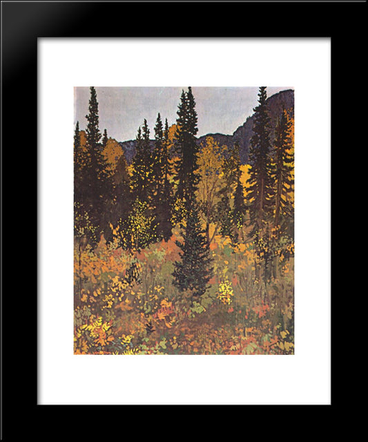 The Dark Woods Interior 20x24 Black Modern Wood Framed Art Print Poster by Johnston, Frank