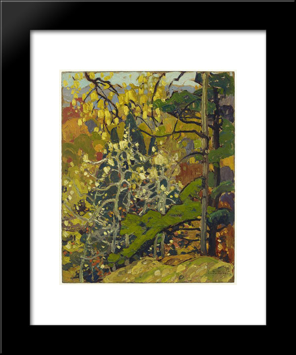 Autumn Splendor 20x24 Black Modern Wood Framed Art Print Poster by Carmichael, Franklin