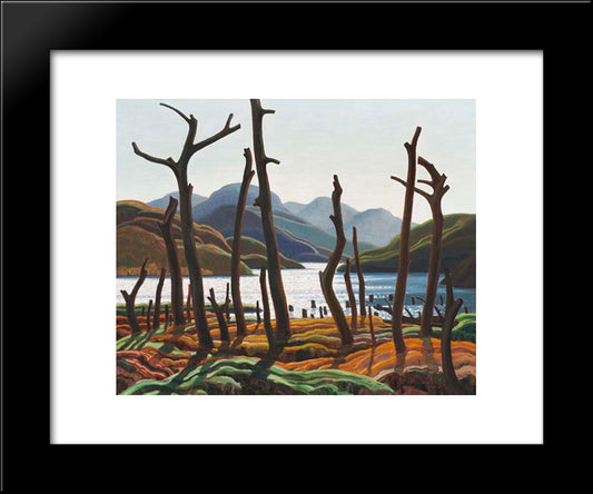 Cranberry Lake 20x24 Black Modern Wood Framed Art Print Poster by Carmichael, Franklin