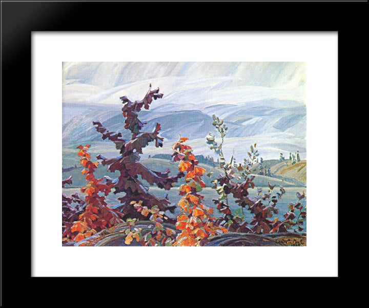 Scrub Oaks And Maples 20x24 Black Modern Wood Framed Art Print Poster by Carmichael, Franklin