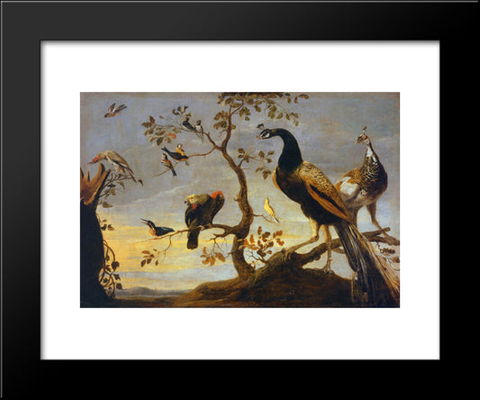 Group Of Birds Perched On Branches 20x24 Black Modern Wood Framed Art Print Poster by Snyders, Frans