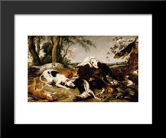 Hounds Bringing Down A Boar 20x24 Black Modern Wood Framed Art Print Poster by Snyders, Frans