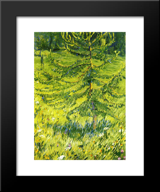Larch Sapling 20x24 Black Modern Wood Framed Art Print Poster by Marc, Franz