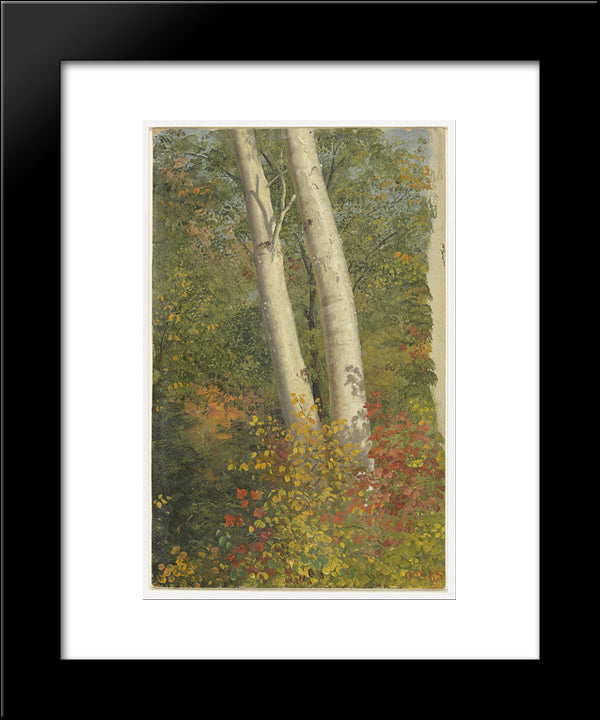 Birch Trees In Autumn 20x24 Black Modern Wood Framed Art Print Poster by Church, Frederic Edwin