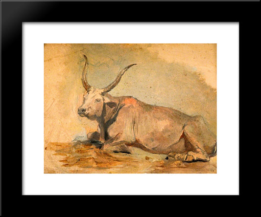 Roman Ox (Lying Down) 20x24 Black Modern Wood Framed Art Print Poster by Mason, George Hemming