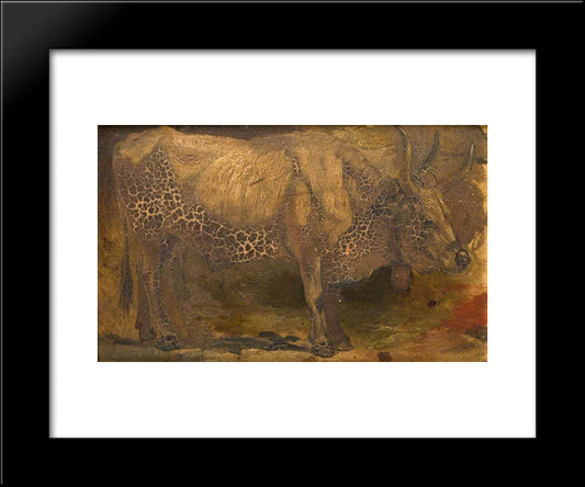 Roman Ox (Standing) 20x24 Black Modern Wood Framed Art Print Poster by Mason, George Hemming