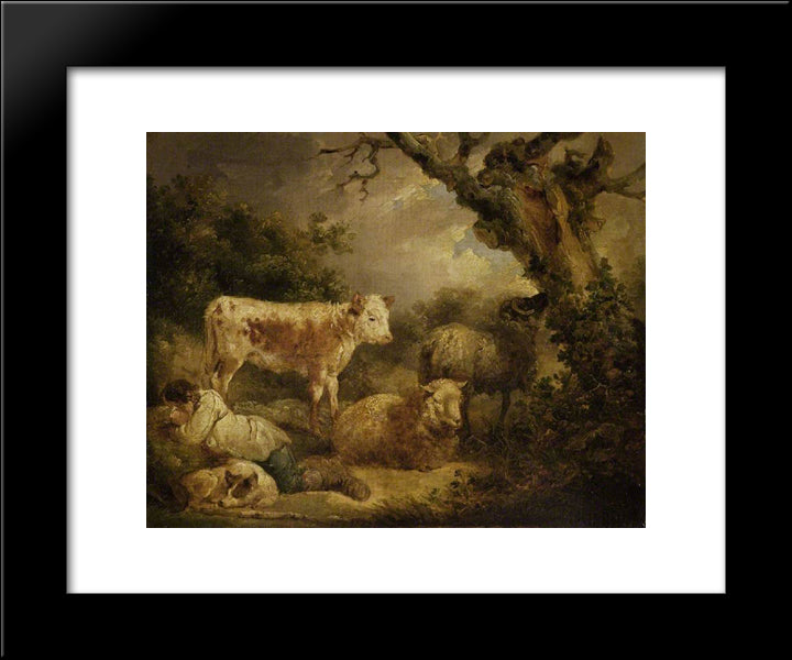 Calf And Sheep 20x24 Black Modern Wood Framed Art Print Poster by Morland, George