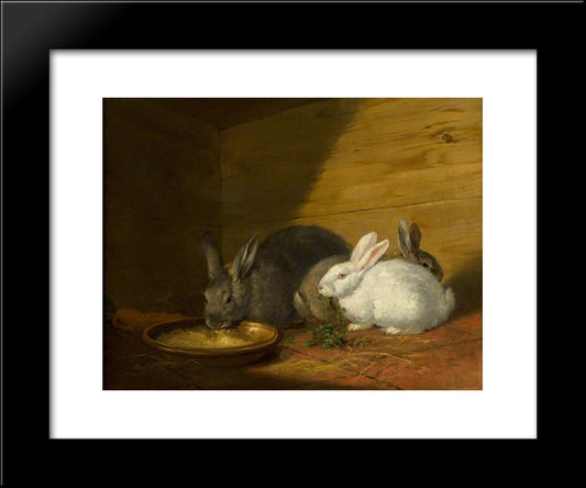 Rabbits 20x24 Black Modern Wood Framed Art Print Poster by Morland, George