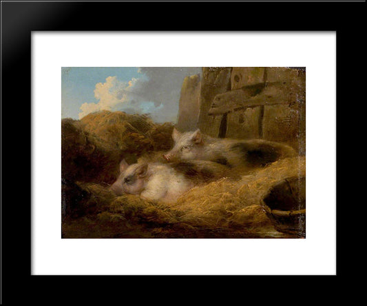 Two Pigs In Straw (Barn With Pigs) 20x24 Black Modern Wood Framed Art Print Poster by Morland, George