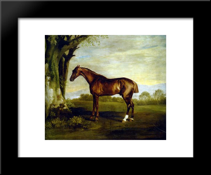 A Chestnut Racehorse 20x24 Black Modern Wood Framed Art Print Poster by Stubbs, George