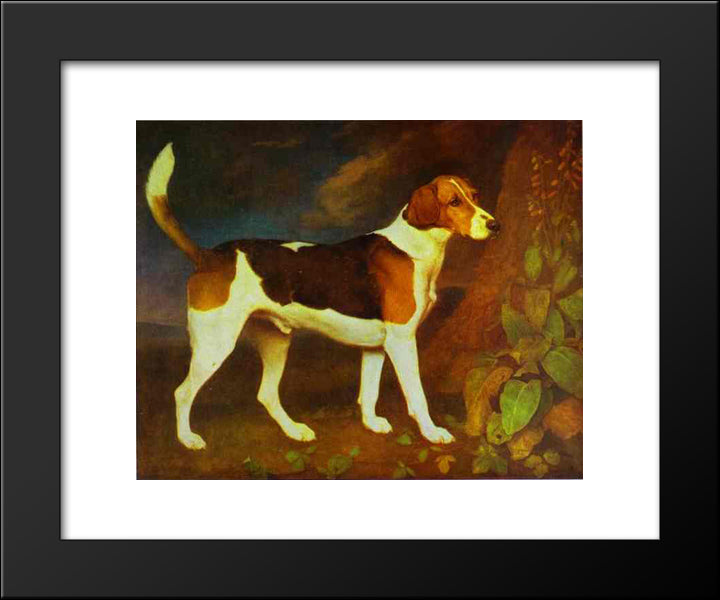 A Foxhound, Ringwod 20x24 Black Modern Wood Framed Art Print Poster by Stubbs, George