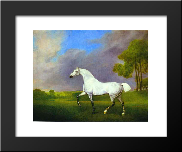 A Grey Horse 20x24 Black Modern Wood Framed Art Print Poster by Stubbs, George