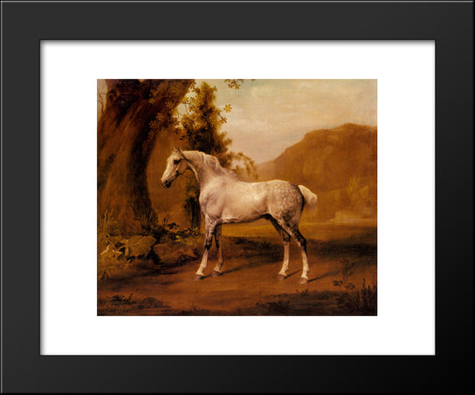 A Grey Stallion In A Landscape 20x24 Black Modern Wood Framed Art Print Poster by Stubbs, George