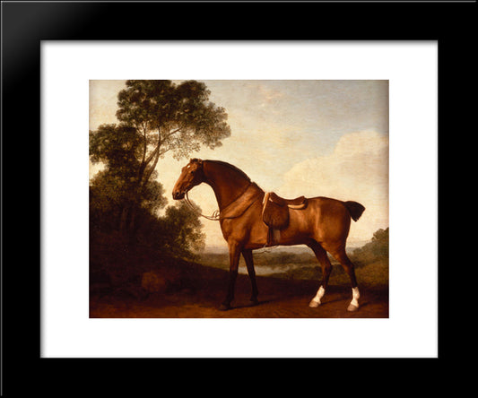 A Saddled Bay Hunter 20x24 Black Modern Wood Framed Art Print Poster by Stubbs, George