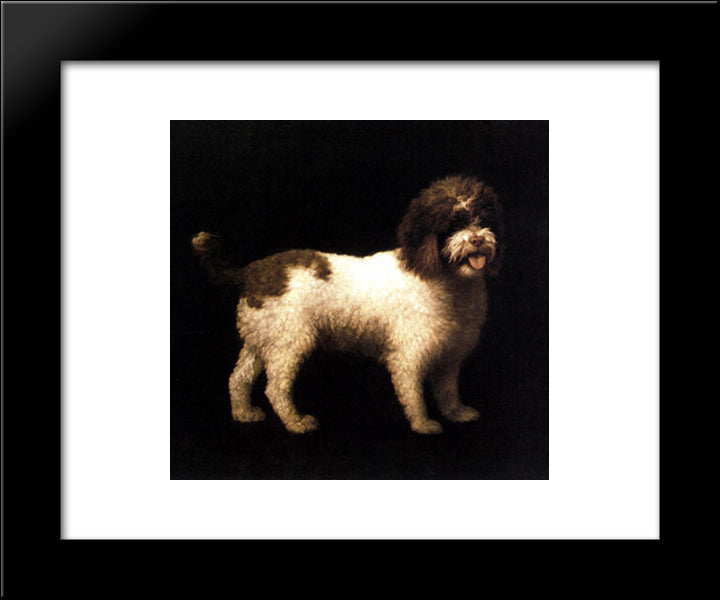 A Water Spaniel 20x24 Black Modern Wood Framed Art Print Poster by Stubbs, George