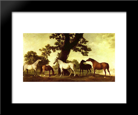 Five Brood Mares 20x24 Black Modern Wood Framed Art Print Poster by Stubbs, George