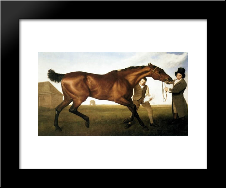 Hambletonian 20x24 Black Modern Wood Framed Art Print Poster by Stubbs, George