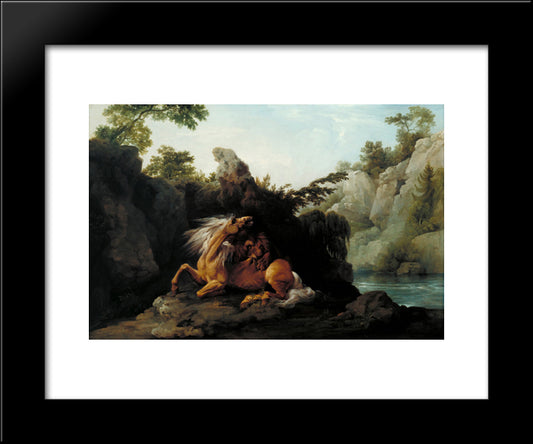 Horse Devoured By A Lion 20x24 Black Modern Wood Framed Art Print Poster by Stubbs, George