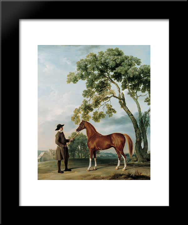 Lord Grosvenor'S Arabian Stallion With A Groom 20x24 Black Modern Wood Framed Art Print Poster by Stubbs, George