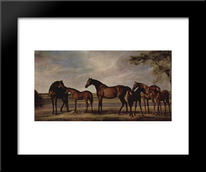 Mares And Foals Are Anxious Before A Looming Storm 20x24 Black Modern Wood Framed Art Print Poster by Stubbs, George