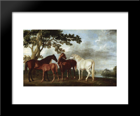 Mares And Foals In A River Landscape 20x24 Black Modern Wood Framed Art Print Poster by Stubbs, George