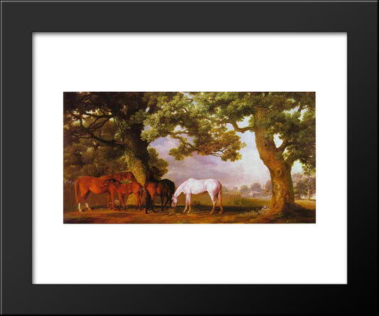 Mares And Foals In A Wooded Landscape 20x24 Black Modern Wood Framed Art Print Poster by Stubbs, George