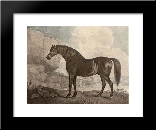 Marske Horse 20x24 Black Modern Wood Framed Art Print Poster by Stubbs, George