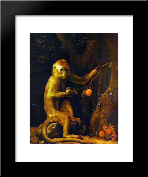 Portrait Of A Monkey 20x24 Black Modern Wood Framed Art Print Poster by Stubbs, George