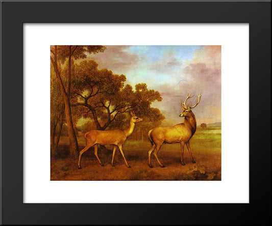 Red Deer Stag And Hind 20x24 Black Modern Wood Framed Art Print Poster by Stubbs, George