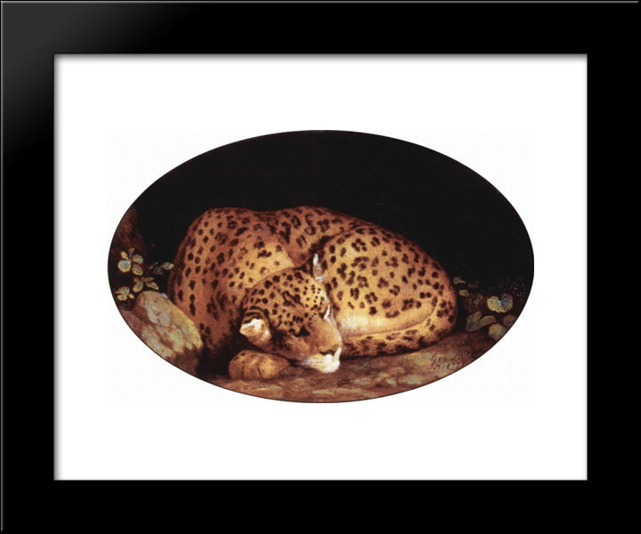 Sleeping Leopard 20x24 Black Modern Wood Framed Art Print Poster by Stubbs, George