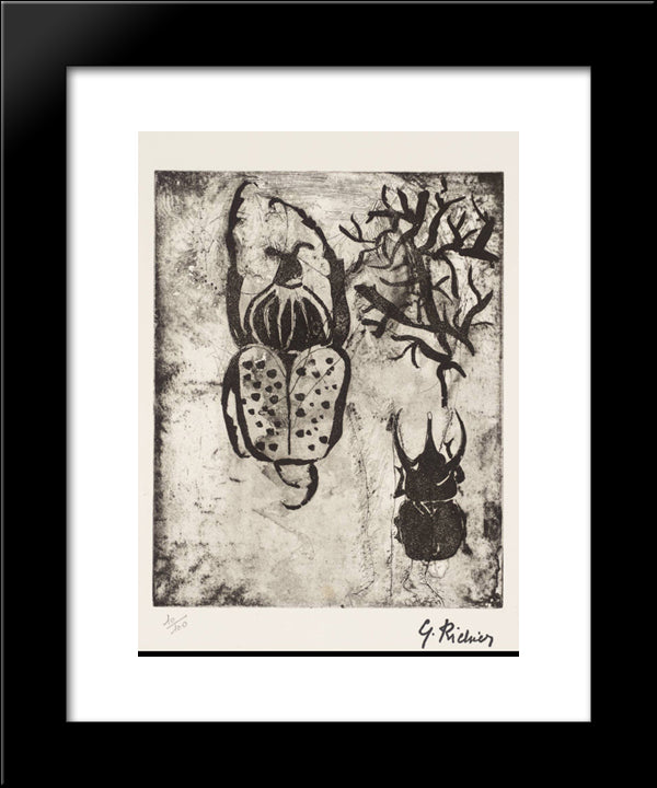 Beetles 20x24 Black Modern Wood Framed Art Print Poster by Richier, Germaine