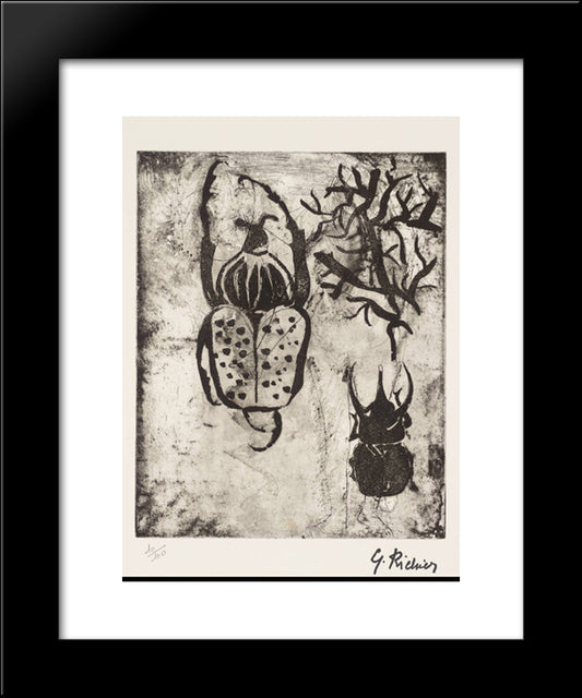 Beetles 20x24 Black Modern Wood Framed Art Print Poster by Richier, Germaine
