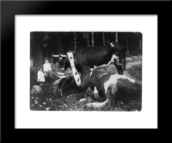 Yoked And Muzzled Marriage 20x24 Black Modern Wood Framed Art Print Poster by Kasebier, Gertrude