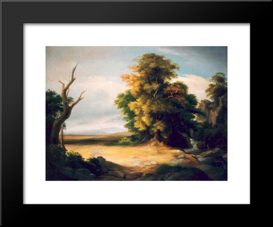 French Landscape 20x24 Black Modern Wood Framed Art Print Poster by Tattarescu, Gheorghe