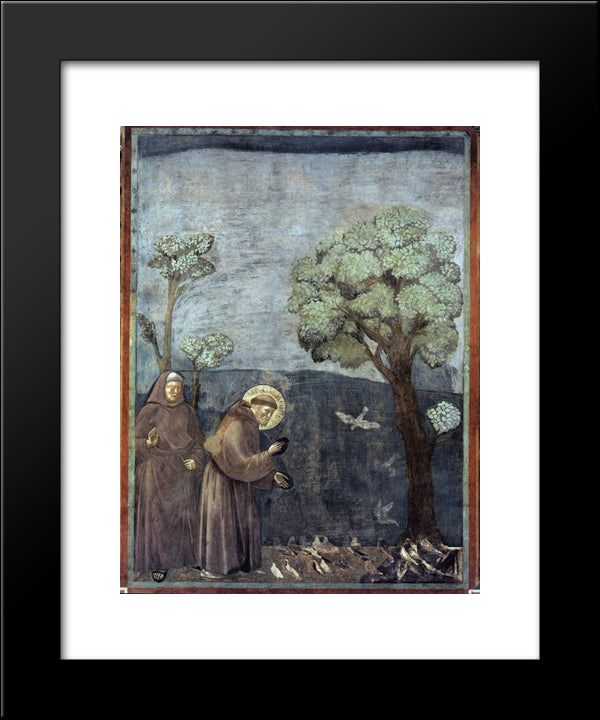 St. Francis Preaching To The Birds 20x24 Black Modern Wood Framed Art Print Poster by Giotto