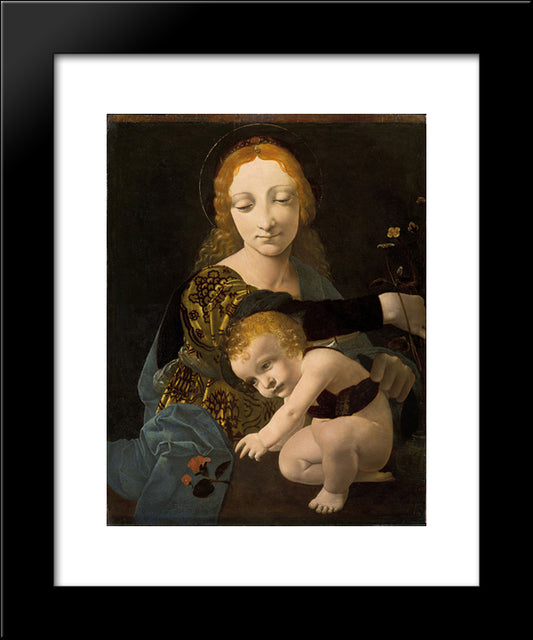 The Virgin And Child (The Madonna Of The Rose) 20x24 Black Modern Wood Framed Art Print Poster by Boltraffio, Giovanni Antonio