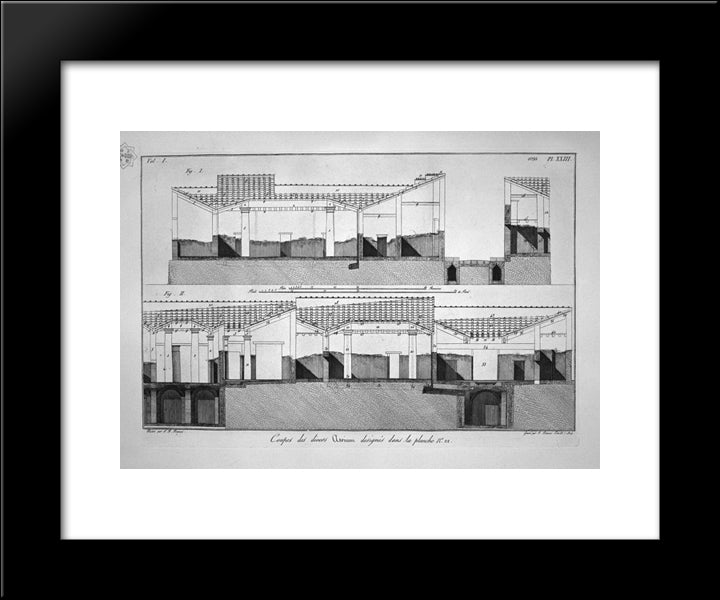 Plants Related To The Houses Opposite To That Of The Surgeon 20x24 Black Modern Wood Framed Art Print Poster by Piranesi, Giovanni Battista