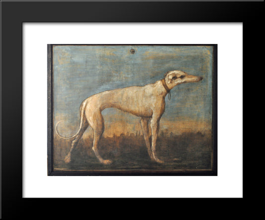 Greyhound 20x24 Black Modern Wood Framed Art Print Poster by Tiepolo, Giovanni Domenico