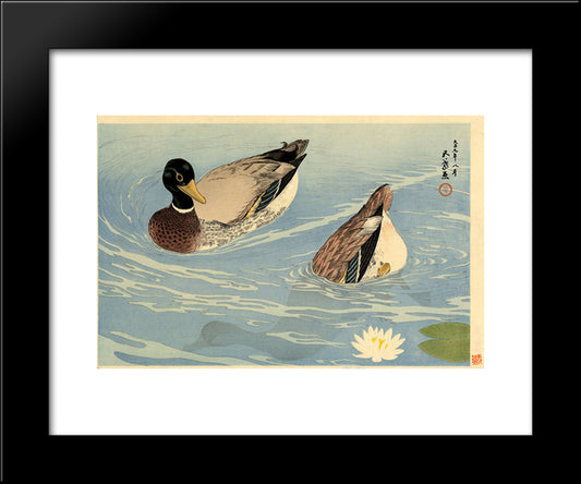 Ducks 20x24 Black Modern Wood Framed Art Print Poster by Hashiguchi, Goyo